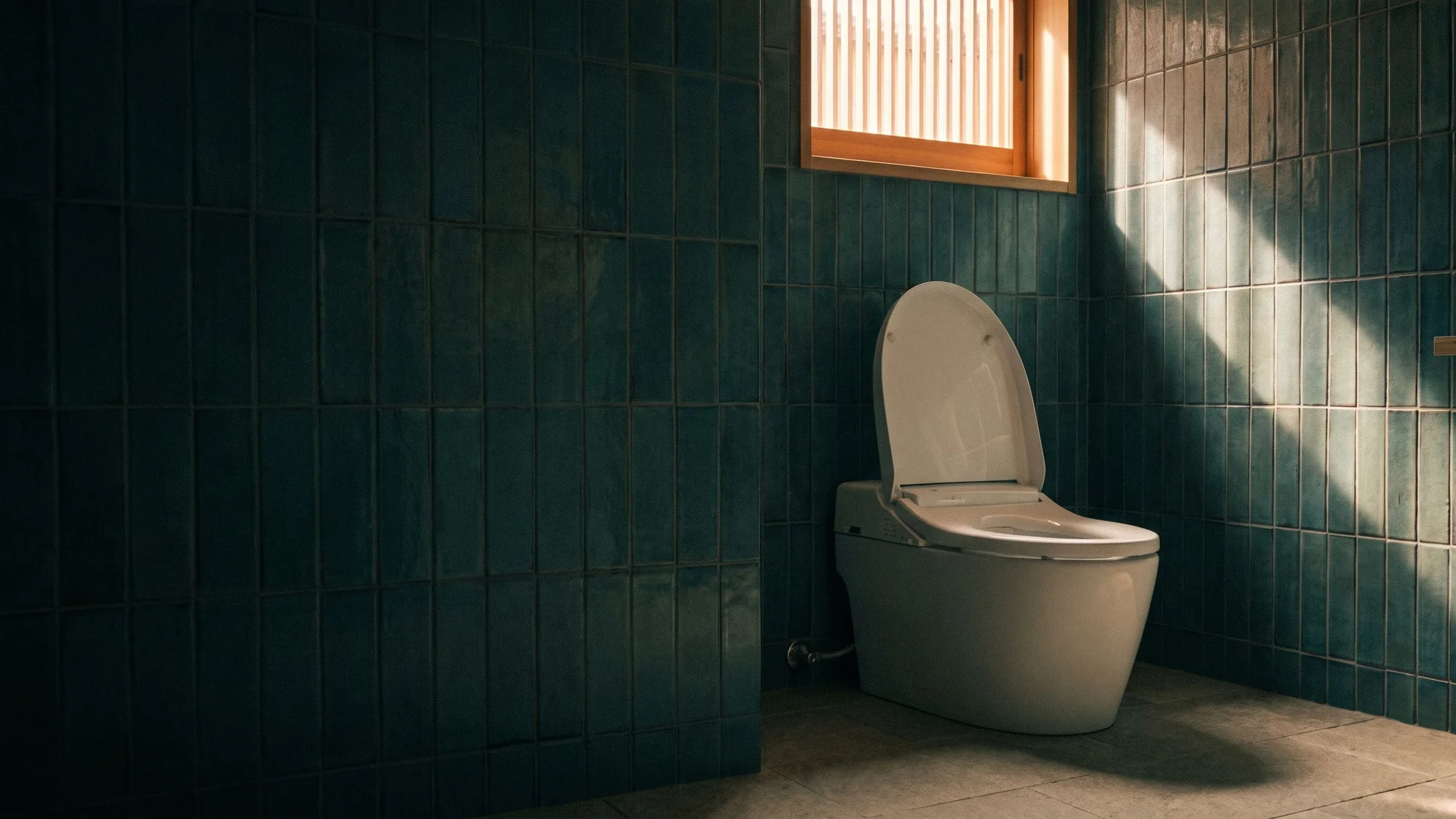 A white washing toilet in a dark teal tiled room lit by a narrow window.
